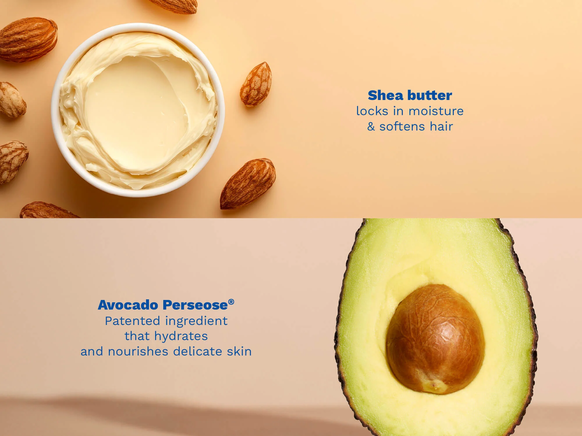 Detangling & nourishing conditioner - Image 3