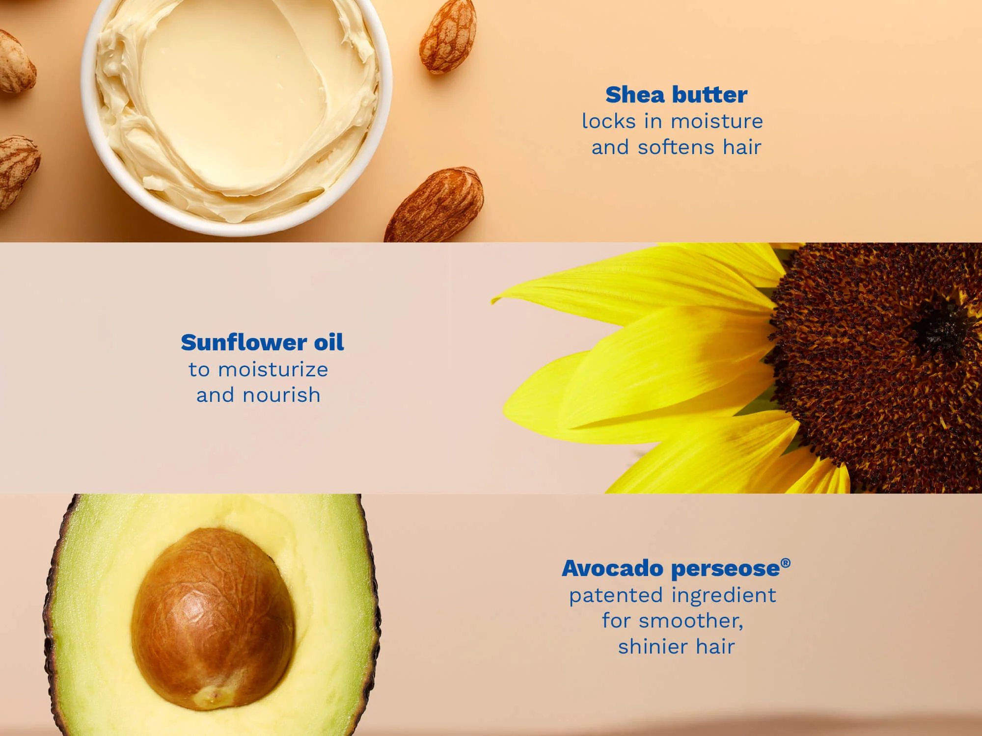 Detangling & nourishing cream shampoo - Image 3