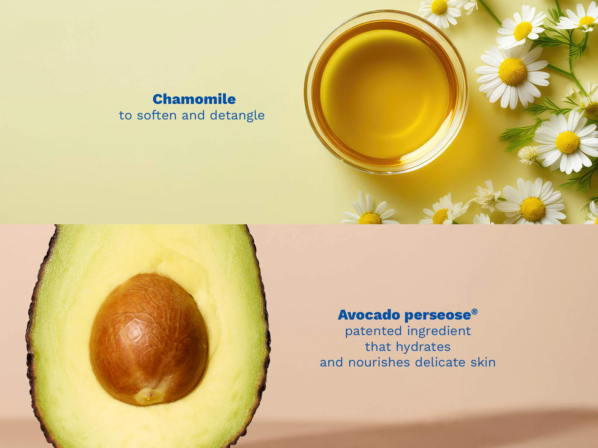 Gentle shampoo - Image 3