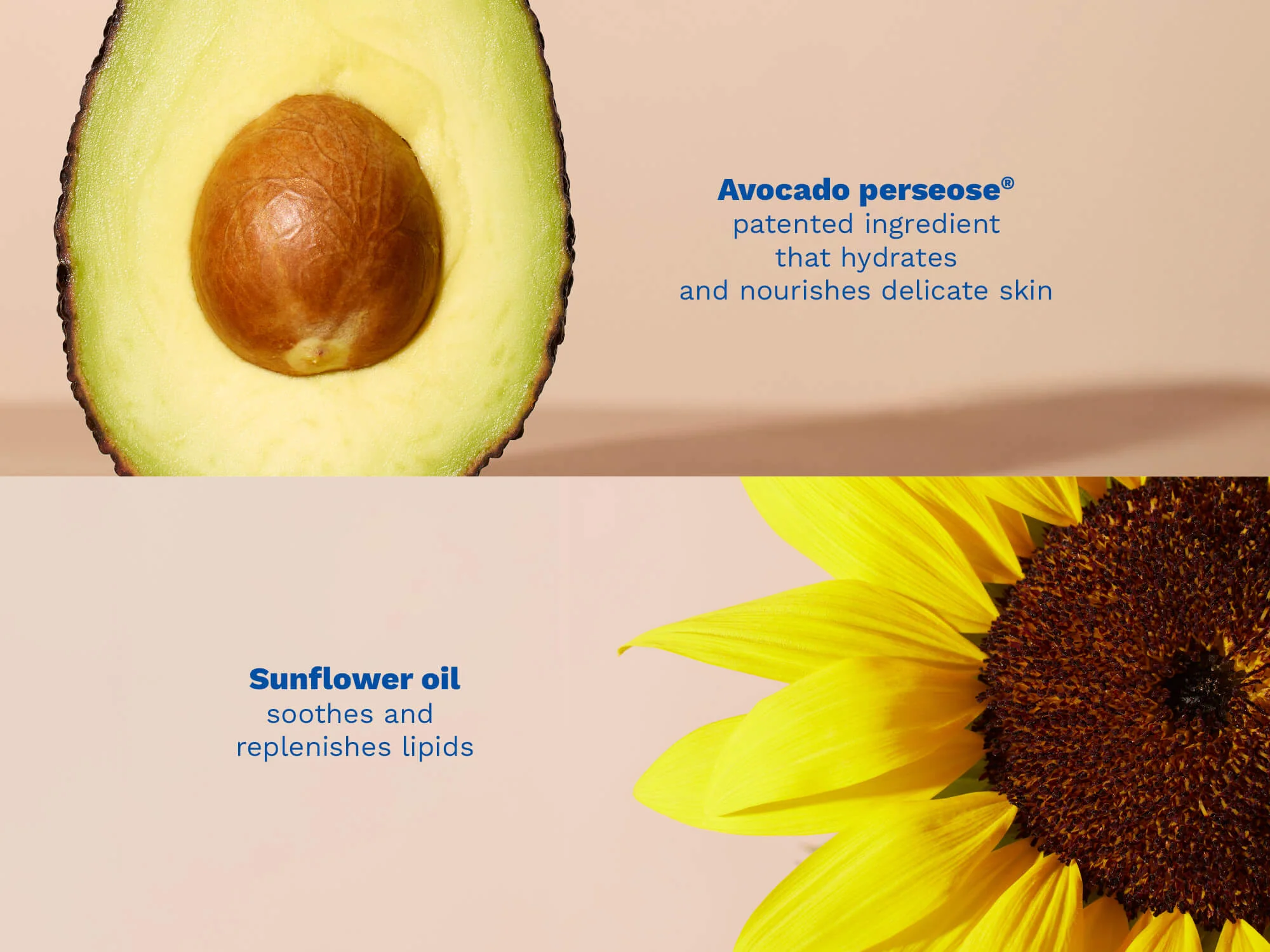 Stelatopia cleansing oil - Image 4